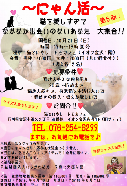 にゃん活 猫を愛しすぎて なかなか出会いのないあなた 大集合 カップル パーティー ペット 動物 金沢市 イベント情報 金沢ラボ