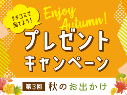 プレゼント画像